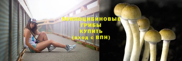 индика Алексеевка