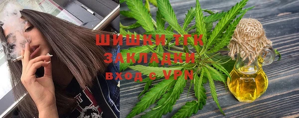 индика Алексеевка
