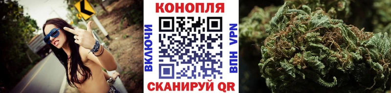 Бошки марихуана гибрид  Купить закладки  Богданович 